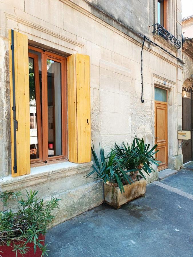 Dans Maison De Maitre, Appartement Independant. Montfrin エクステリア 写真